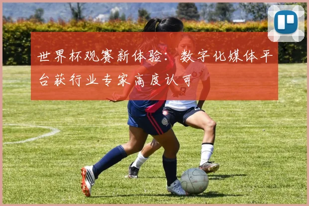 世界杯观赛新体验：数字化媒体平台获行业专家高度认可