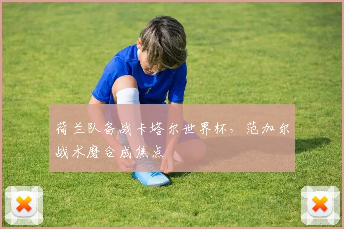 荷兰队备战卡塔尔世界杯，范加尔战术磨合成焦点