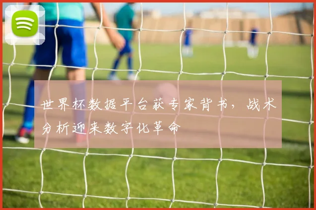 世界杯数据平台获专家背书，战术分析迎来数字化革命